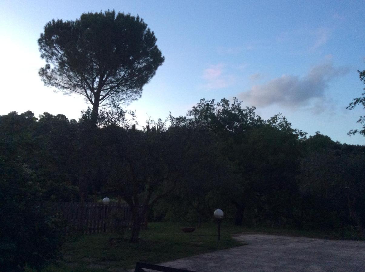 B&B Il Frassino Perugia Eksteriør billede