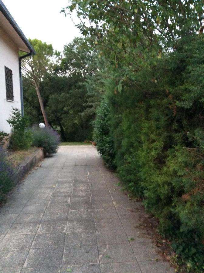 B&B Il Frassino Perugia Eksteriør billede
