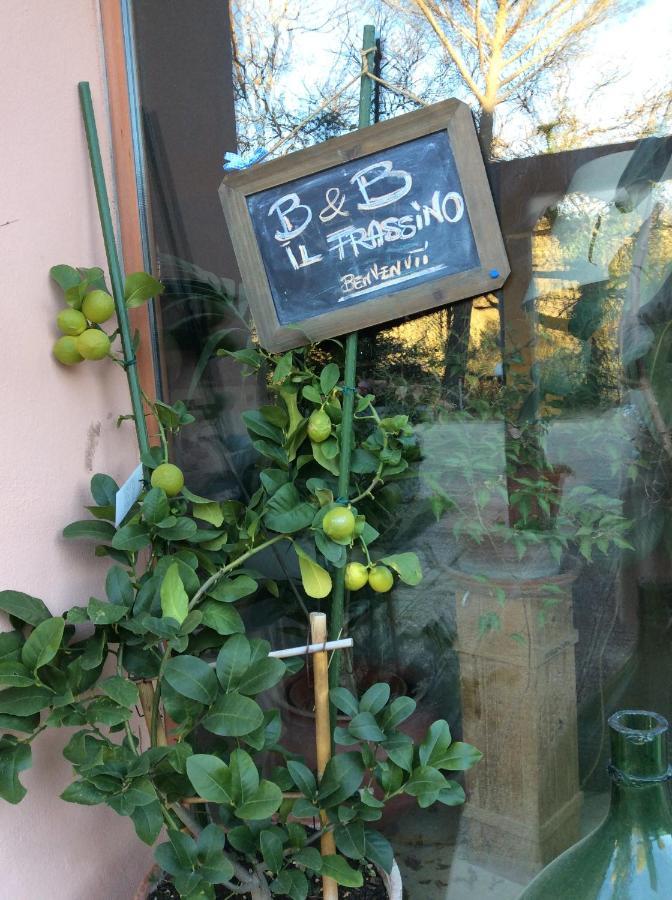 B&B Il Frassino Perugia Eksteriør billede